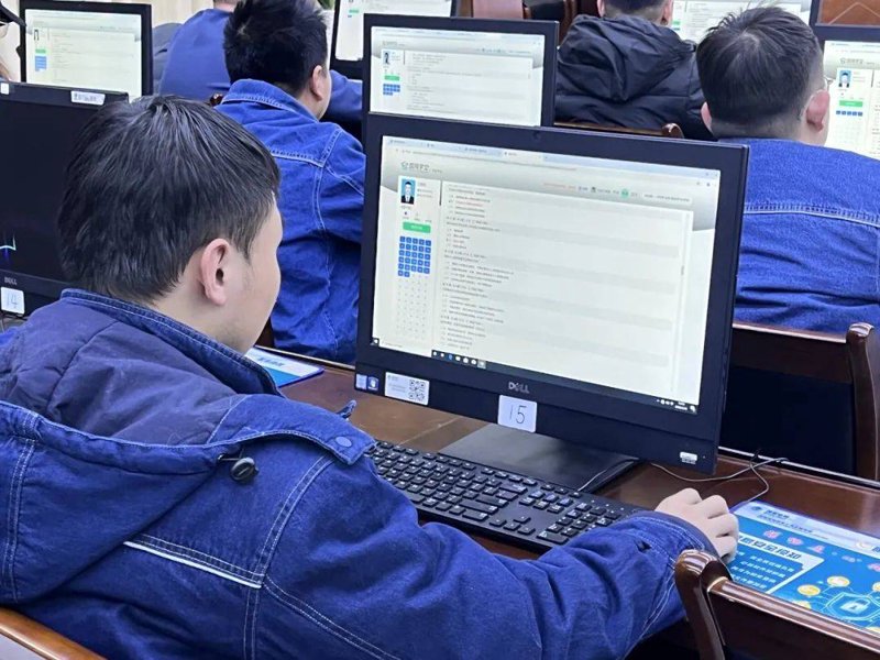 大数据时代，如何高效查询官网数据？